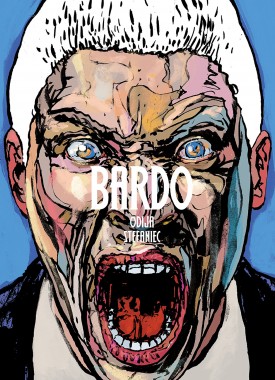 BARDO-scratch-stripweb-1 BARDO-scratch-stripweb-1